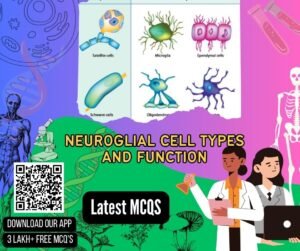 Neuroglial Cell Types and Function