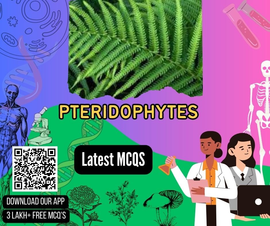 Pteridophytes