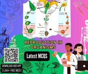 Reproduction In Organisms