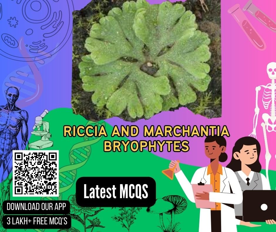 Riccia and Marchantia _ Bryophytes