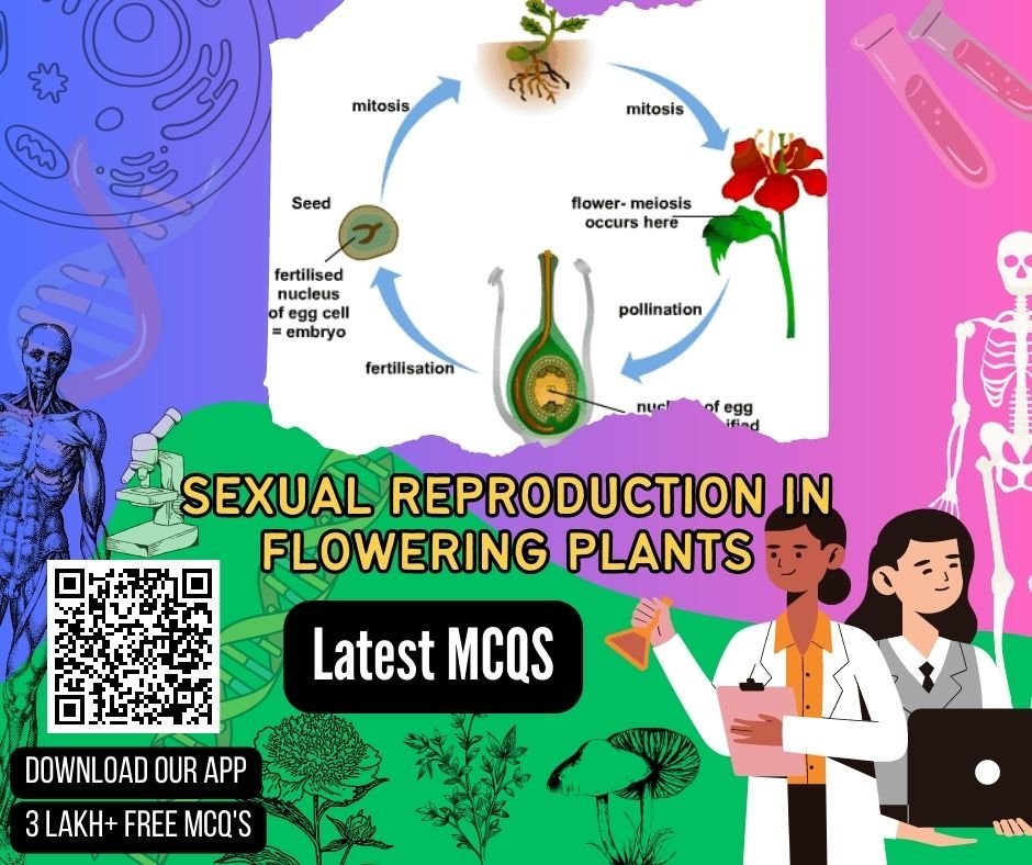 Sexual Reproduction In Flowering Plants