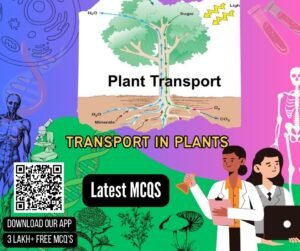 Transport In Plants