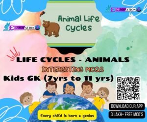 Life Cycles - Animals