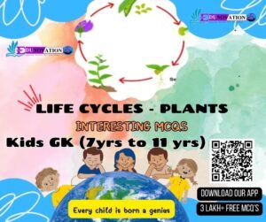 Life Cycles - Plants