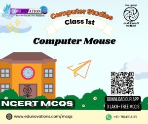 Computer Mouse