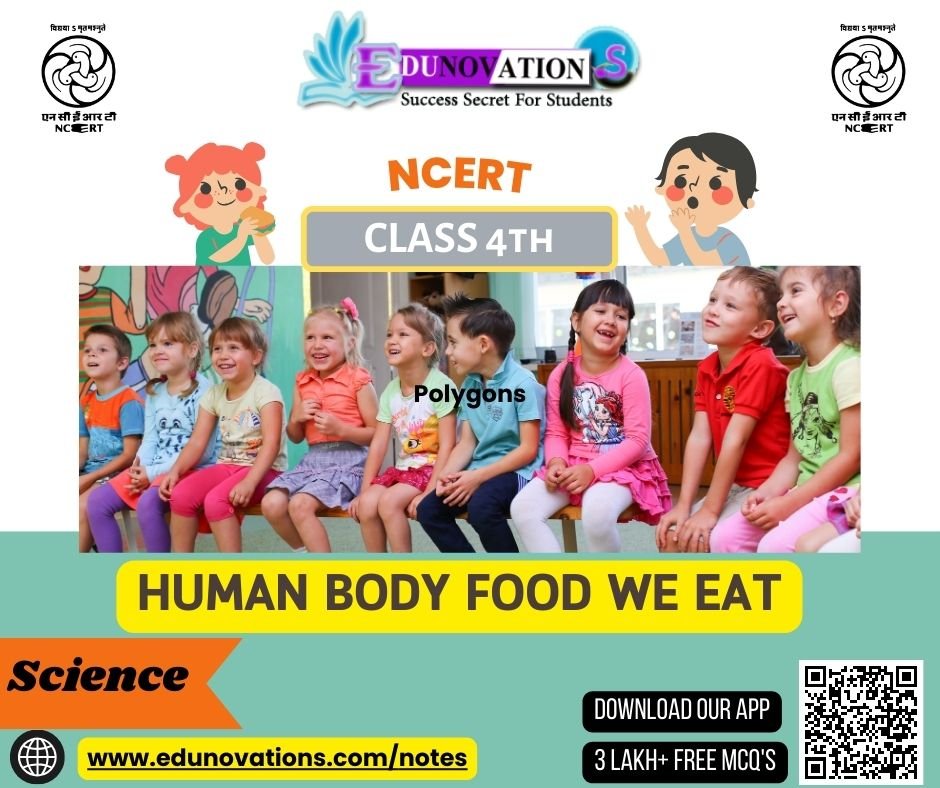 Human Body Food We Eat