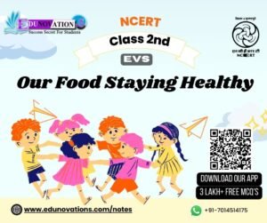 Our Our Food Staying HealthyIndia