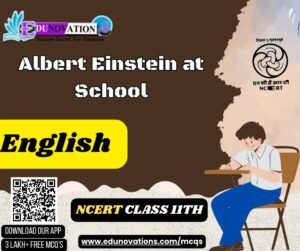 Albert Einstein at School