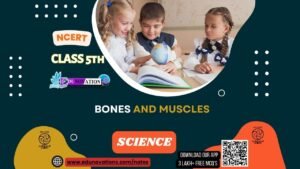 Bones and muscles Class 5