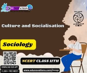 Culture and Socialisation