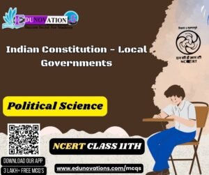 Indian Constitution - Local Governments
