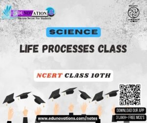 Life Processes Class
