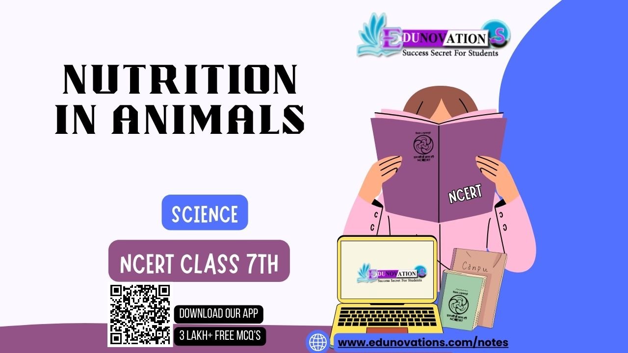 Nutrition in Animals