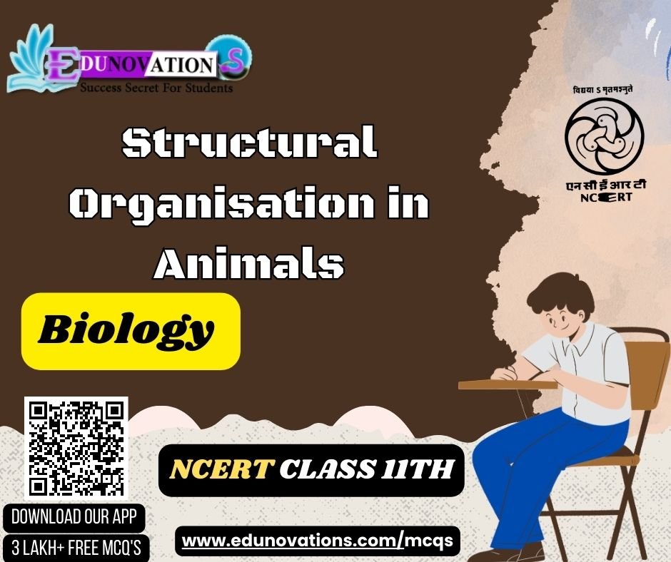 Structural Organisation in Animals