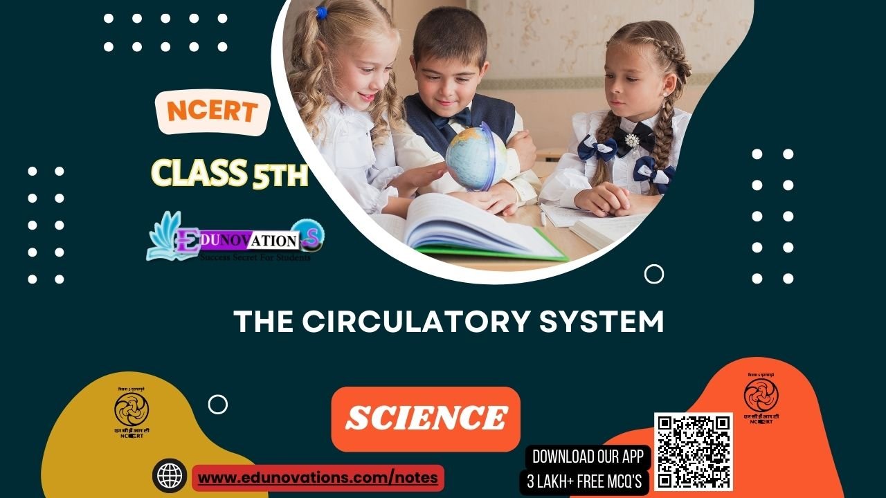 The Circulatory System