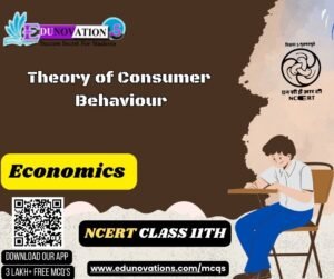 Theory of Consumer Behaviour