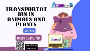 Transportation in Animals and Plants