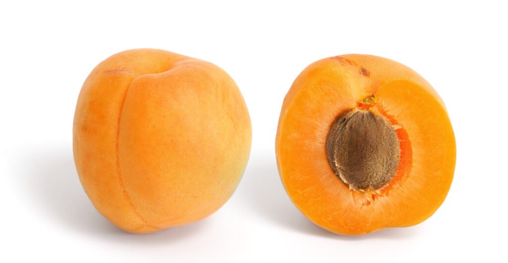 Apricot Fruit Facts