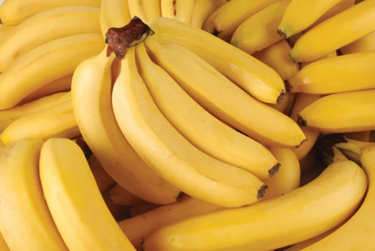 Banana Fruit Facts, FAQs, Uses, Cultivation, Botany, Significance and more
