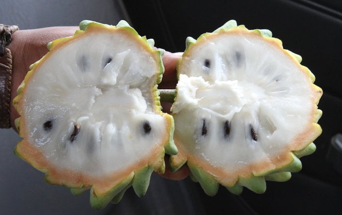 Biriba Fruit Facts
