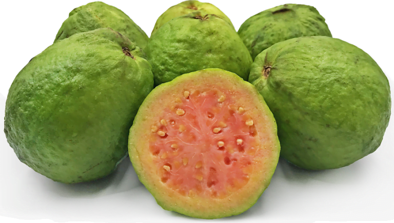 Brazilian guava Fruit Facts,FAQs, Behaviour, Habitat, Conservation and more