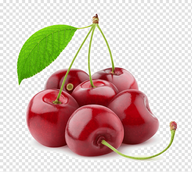 Cherry Fruit Facts,FAQs, Behaviour, Habitat, Conservation and more