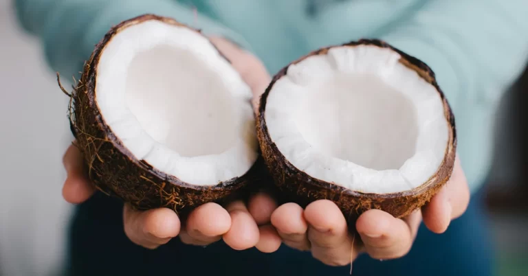 Coconut Fruit Facts,FAQs, Behaviour, Habitat, Conservation and more