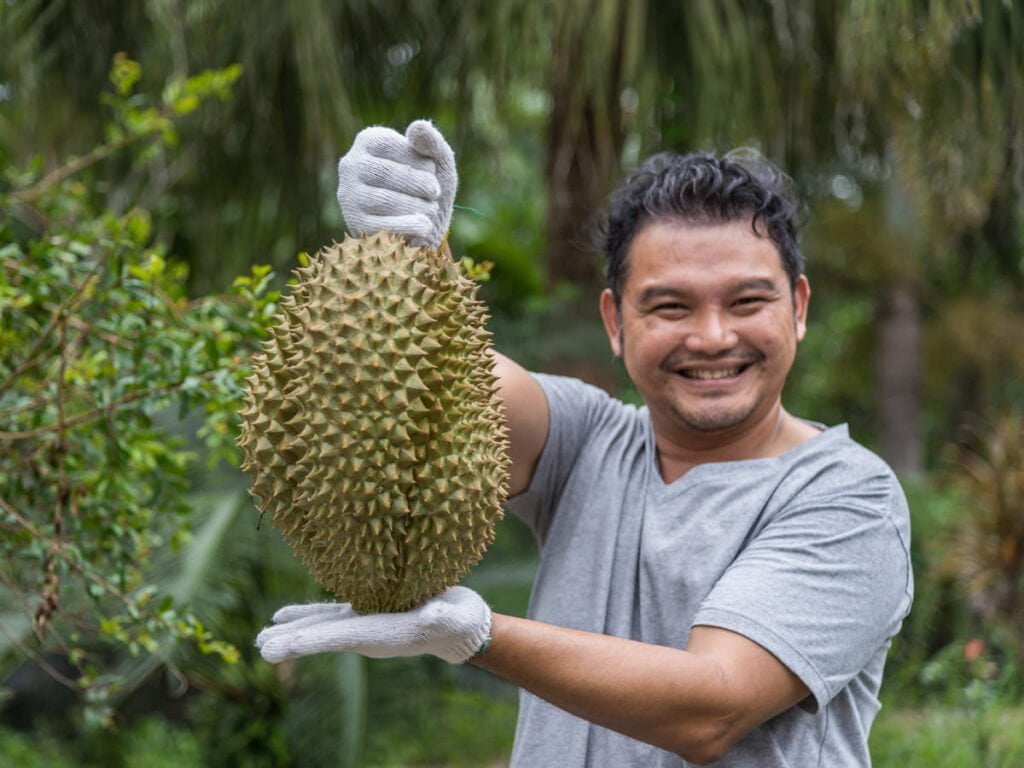 Durian Fruit Facts