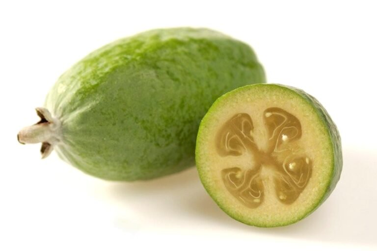 Feijoa Fruit Facts,FAQs, Behaviour, Habitat, Conservation and more