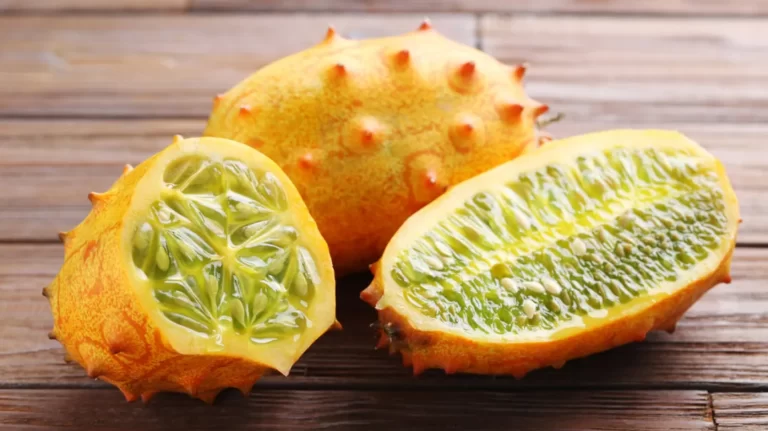 Kiwano (horned melon) Fruit Facts,FAQs, Behaviour, Habitat, Conservation and more