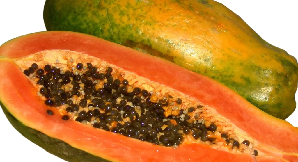 Papaya Fruit Facts