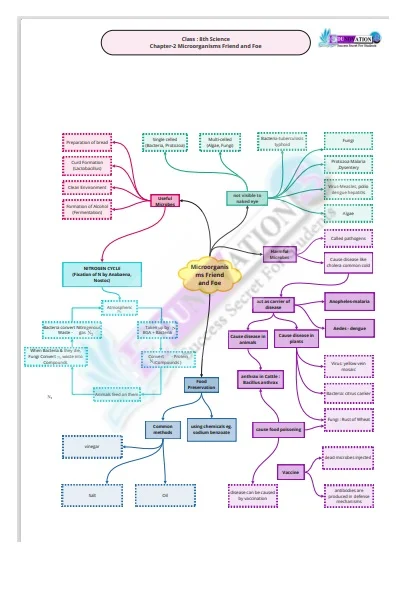 Class 8 Science Microorganisms Friends and Foe