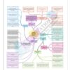 Class 8 Social Science Woman, Caste and Reform