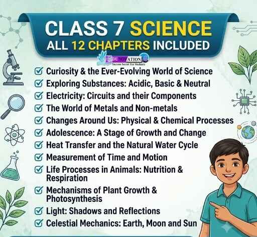 NCERT Class 7 Notes and Mind Maps Science Chapters included